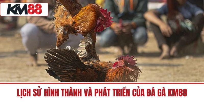 Lịch sử hình thành và phát triển của Đá Gà KM88