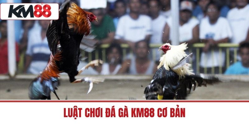 Luật chơi đá gà KM88 cơ bản